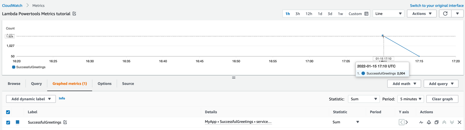 Custom Metrics Example